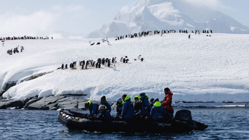 Antarctica expedition Zodiac landing at penguin colony shoreline